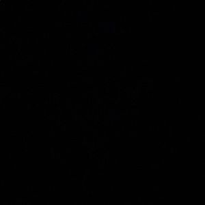 Meet your Posher, Kylee